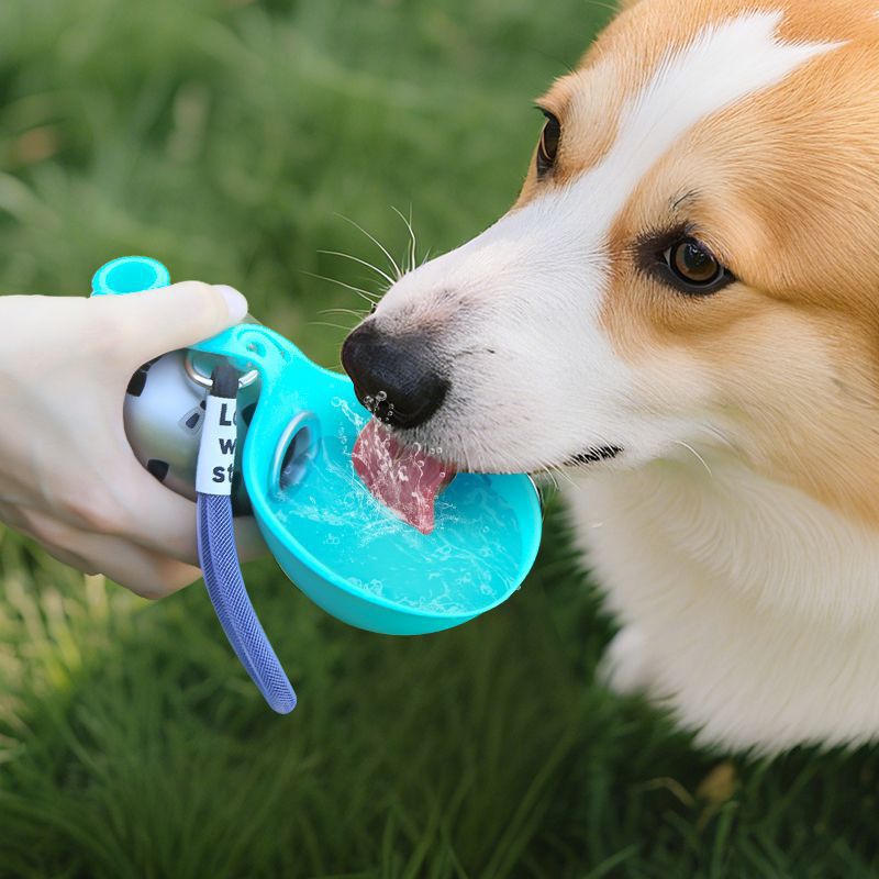 Hunde-Trinkflasche aus Edelstahl mit Silikon-Blattschale, 2-in-1 auslaufsicherer tragbarer Hunde-Wasserspender, Trinkflasche aus lebensmittelechtem 304-Material für kleine bis mittelgroße Welpen (Blau)